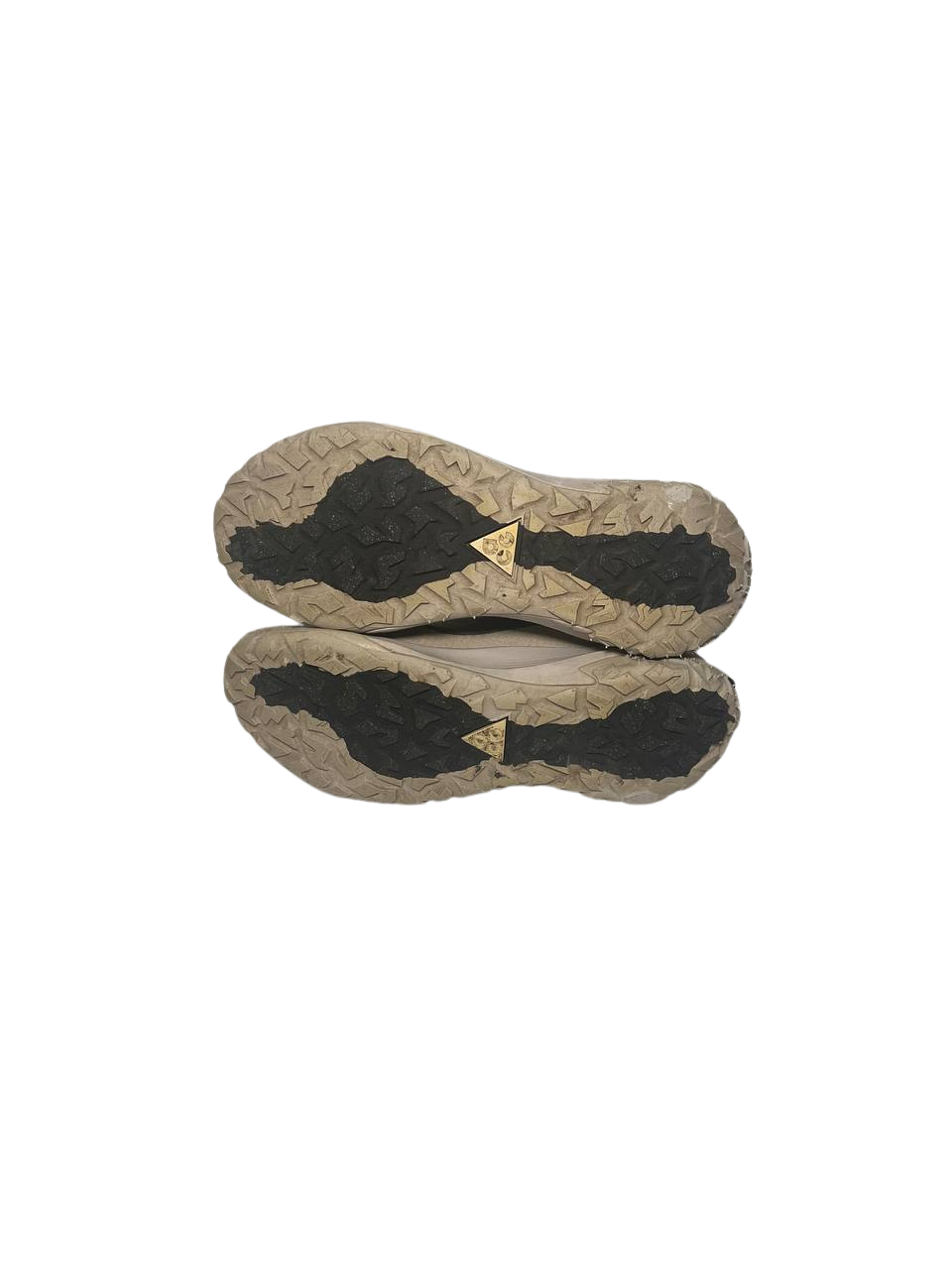 Nike ACG Mountain Fly 2 Low 'Light Iron Ore