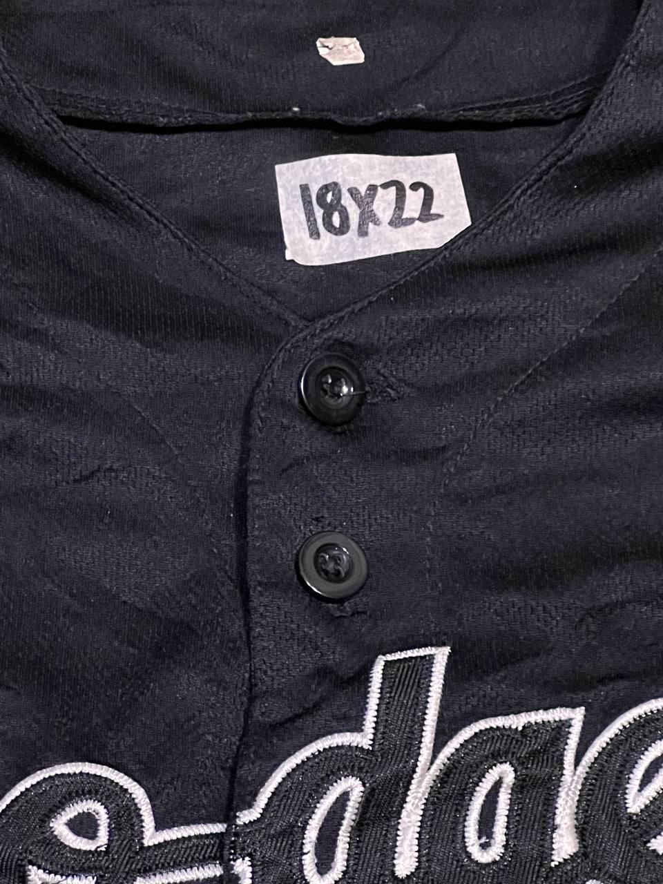 Dodger Baseball Jersey