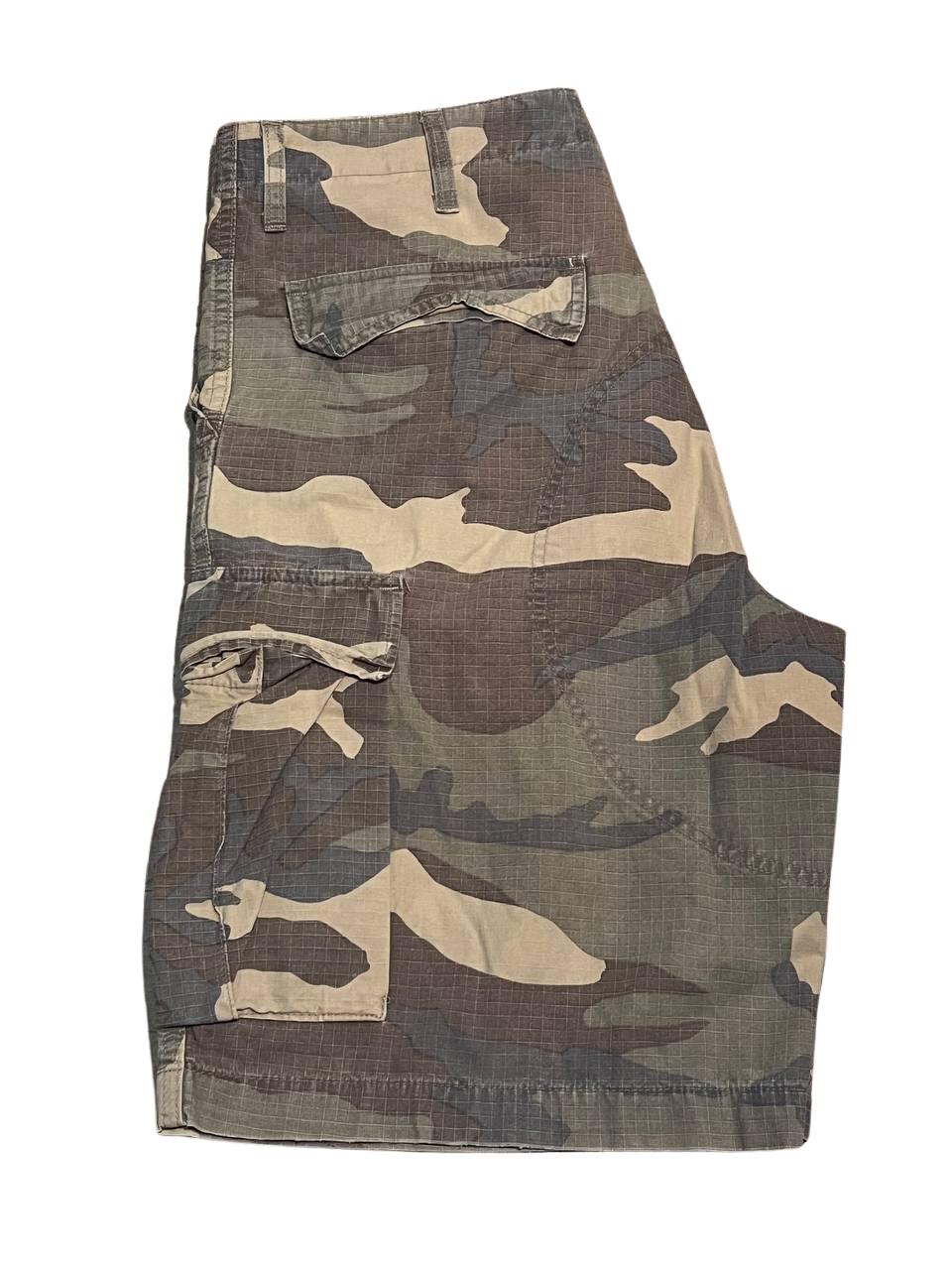 Carhartt Cargo Jorts