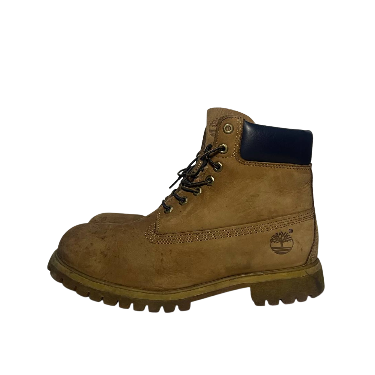 Timberland 10 men's Premium 6-Inch Waterproof Boot